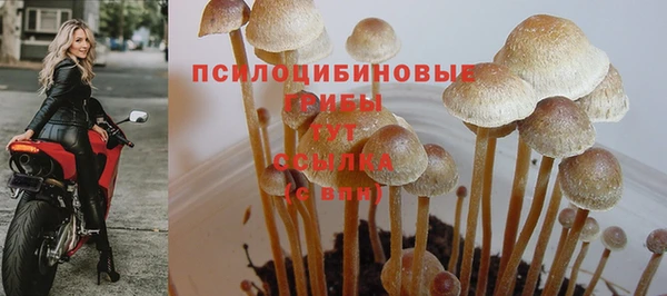 МДМА Аркадак