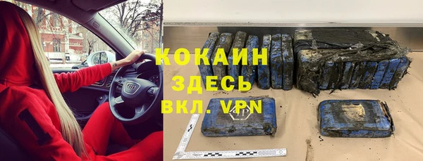 дживик Алексин